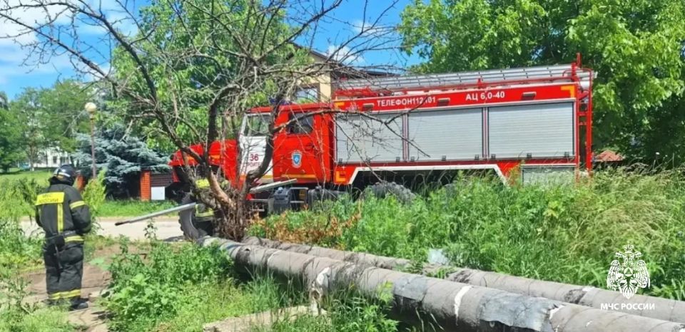 Огнеборцы пришли на помощь котятам в Строителе Огнеборцы пришли на помощь котятам в Строителе