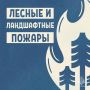 Лето в самом разгаре, и МЧС России напоминает о правилах пожарной безопасности