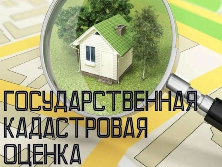 В 2026 году в Белгородской области будет проводиться государственная кадастровая оценка земельных участков