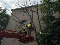 Из-за сильного порыва ветра сегодня на улице Шершнёва, 28 дерево упало на автомобиль и повредило провод линии электропередач
