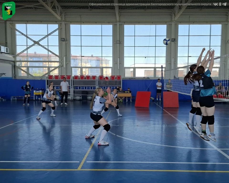 В Белгородском округе состоялось первенство по волейболу В Белгородском округе состоялось первенство по волейболу
