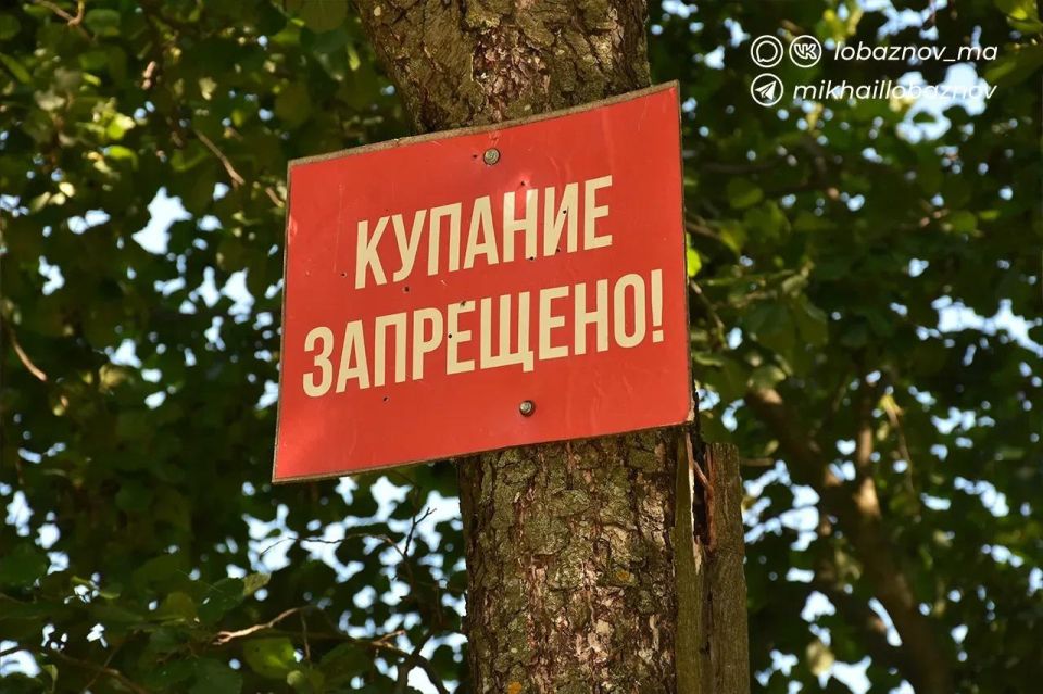В округе открыт купальный сезон В округе открыт купальный сезон