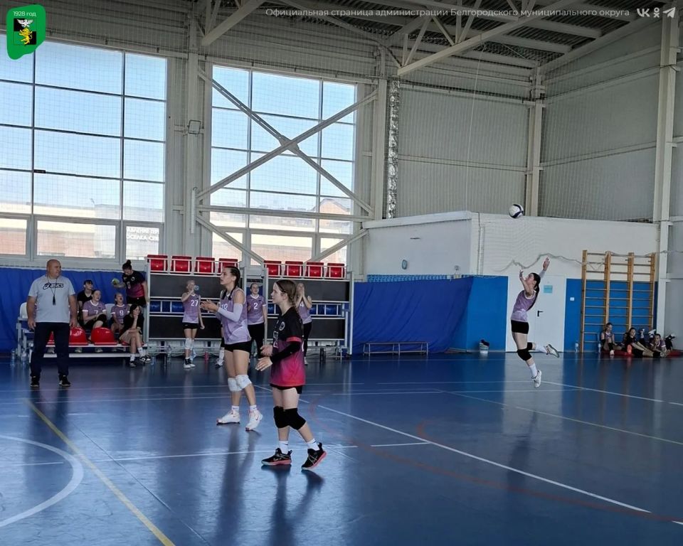 В Белгородском округе состоялось первенство по волейболу В Белгородском округе состоялось первенство по волейболу