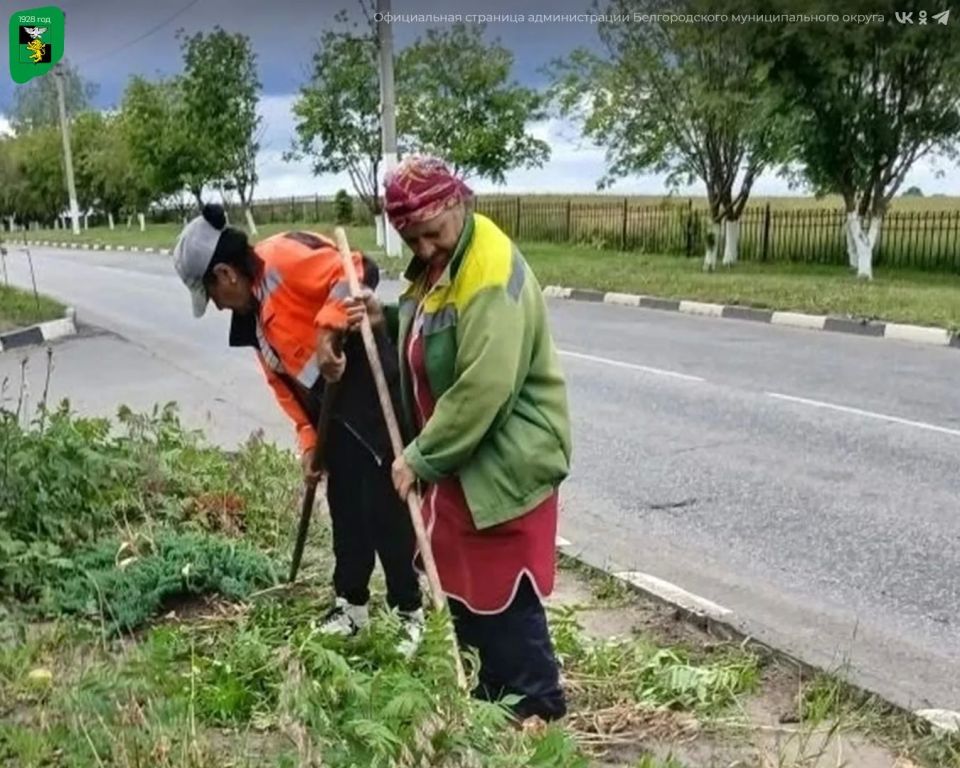 Работы по поддержанию санитарного порядка в Белгородском муниципальном округе продолжаются Работы по поддержанию санитарного порядка в Белгородском муниципальном округе продолжаются