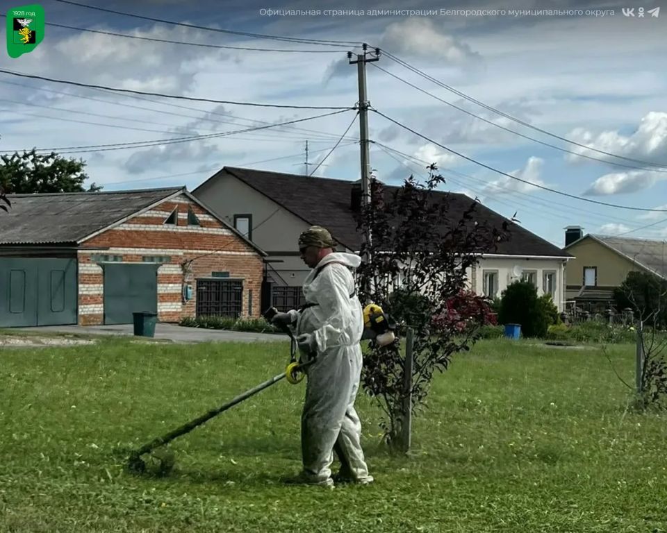 Работы по поддержанию санитарного порядка в Белгородском муниципальном округе продолжаются Работы по поддержанию санитарного порядка в Белгородском муниципальном округе продолжаются