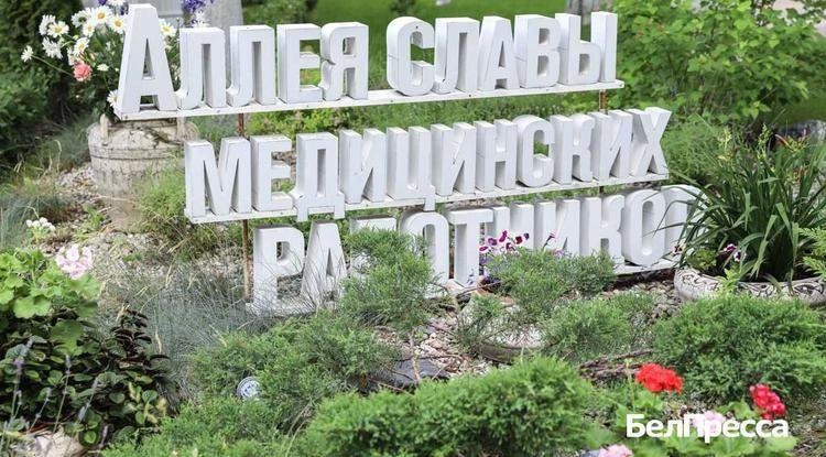 На белгородской областной Аллее Славы медработников появились 3 новых имени На белгородской областной Аллее Славы медработников появились 3 новых имени