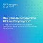 Как проверить результаты ЕГЭ на Госуслугах?