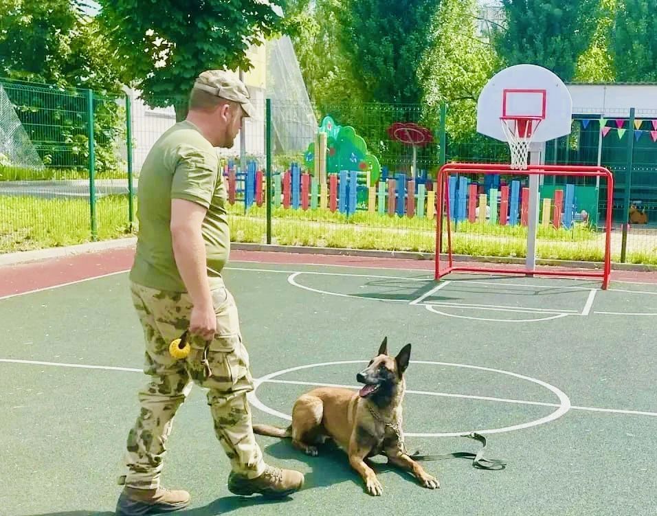 В преддверии Дня кинологической службы транспортные полицейские Белгорода познакомили дошколят с работой служебной собаки В преддверии Дня кинологической службы транспортные полицейские Белгорода познакомили дошколят с работой служебной собаки