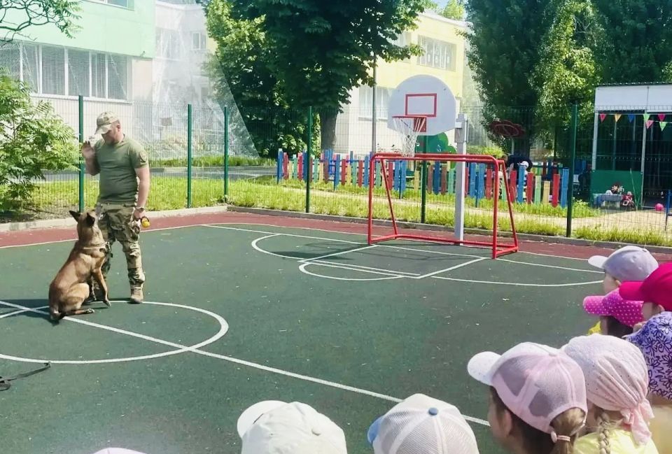 В преддверии Дня кинологической службы транспортные полицейские Белгорода познакомили дошколят с работой служебной собаки В преддверии Дня кинологической службы транспортные полицейские Белгорода познакомили дошколят с работой служебной собаки