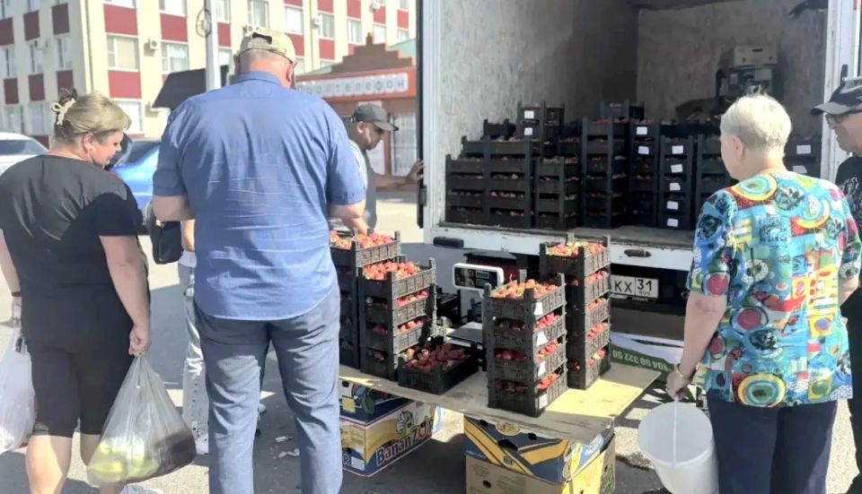 Андрей Миськов: В Новом Осколе прошла традиционная ярмарка выходного дня Андрей Миськов: В Новом Осколе прошла традиционная ярмарка выходного дня