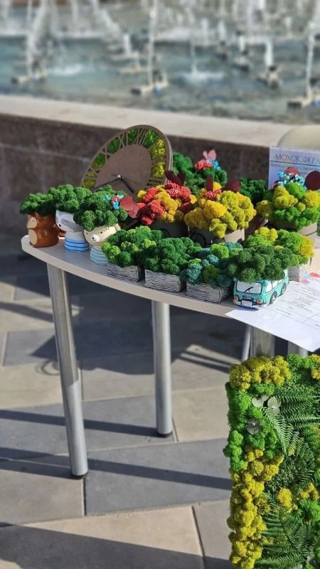 Социальный контракт помог жительнице Старого Оскола открыть мастерскую по созданию декора из стабилизированного мха Социальный контракт помог жительнице Старого Оскола открыть мастерскую по созданию декора из стабилизированного мха