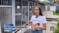 Сегодня свой профессиональный праздник отмечают кинологи