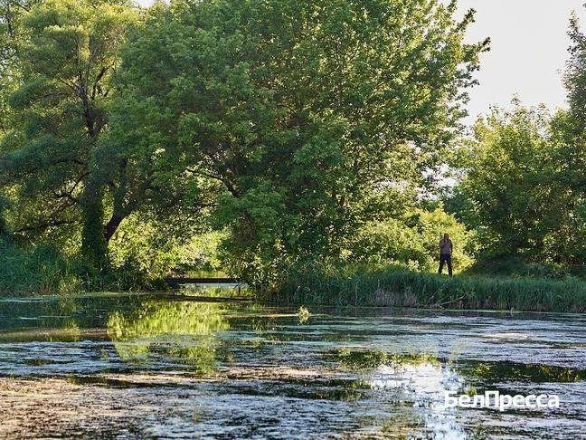 Приёмка работ по очистке реки Нижегородки в Белгороде прошла с замечаниями жителей Приёмка работ по очистке реки Нижегородки в Белгороде прошла с замечаниями жителей