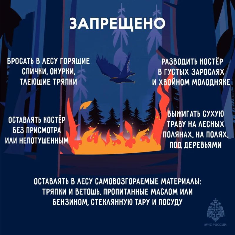 МЧС России напоминает: не сжигай сухую траву МЧС России напоминает: не сжигай сухую траву