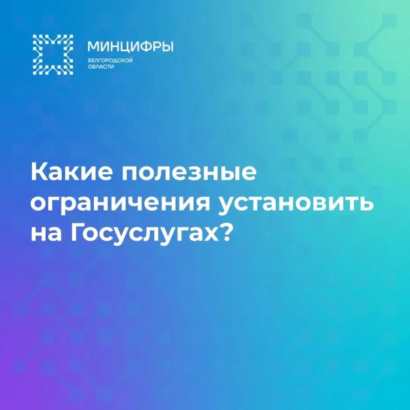 Какие полезные ограничения установить на Госуслугах