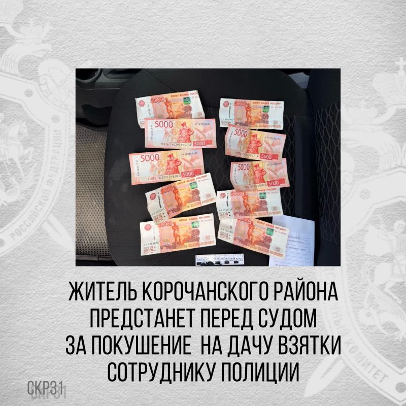Житель Корочанского района предстанет перед судом за покушение на дачу взятки сотруднику полиции