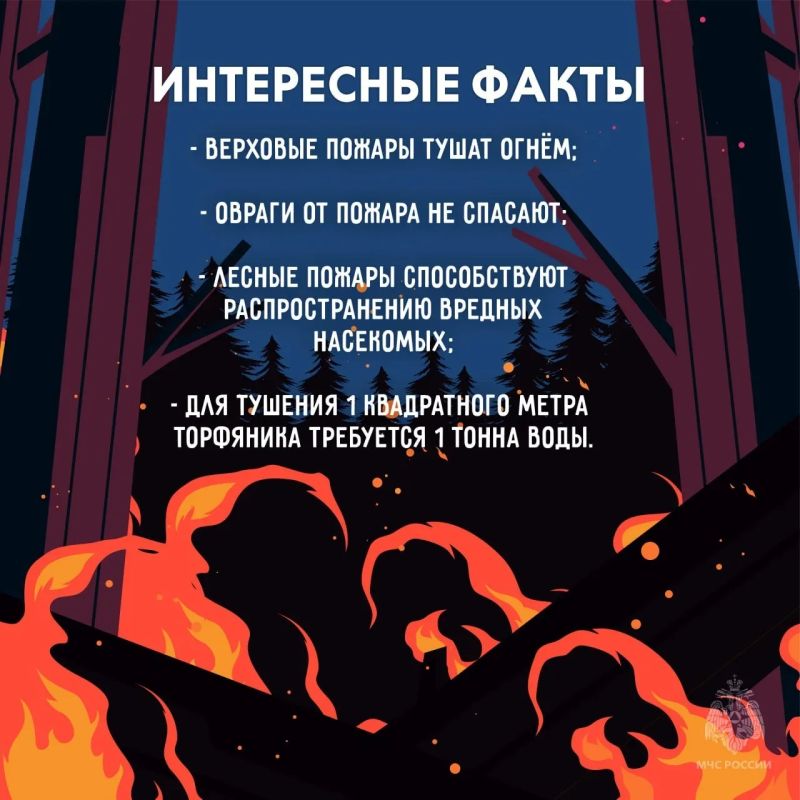 МЧС России напоминает: не сжигай сухую траву МЧС России напоминает: не сжигай сухую траву