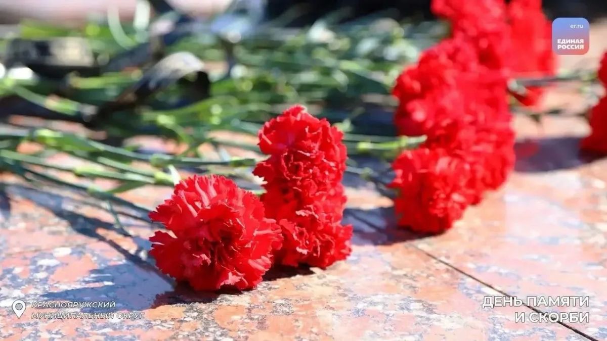 Цена Победы: белгородцы вспоминают тех, кто отдал жизнь за Родину Цена Победы: белгородцы вспоминают тех, кто отдал жизнь за Родину