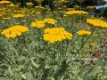 ������� ������ � ������ ������: � ����� ������ �������� ������ � ���������������