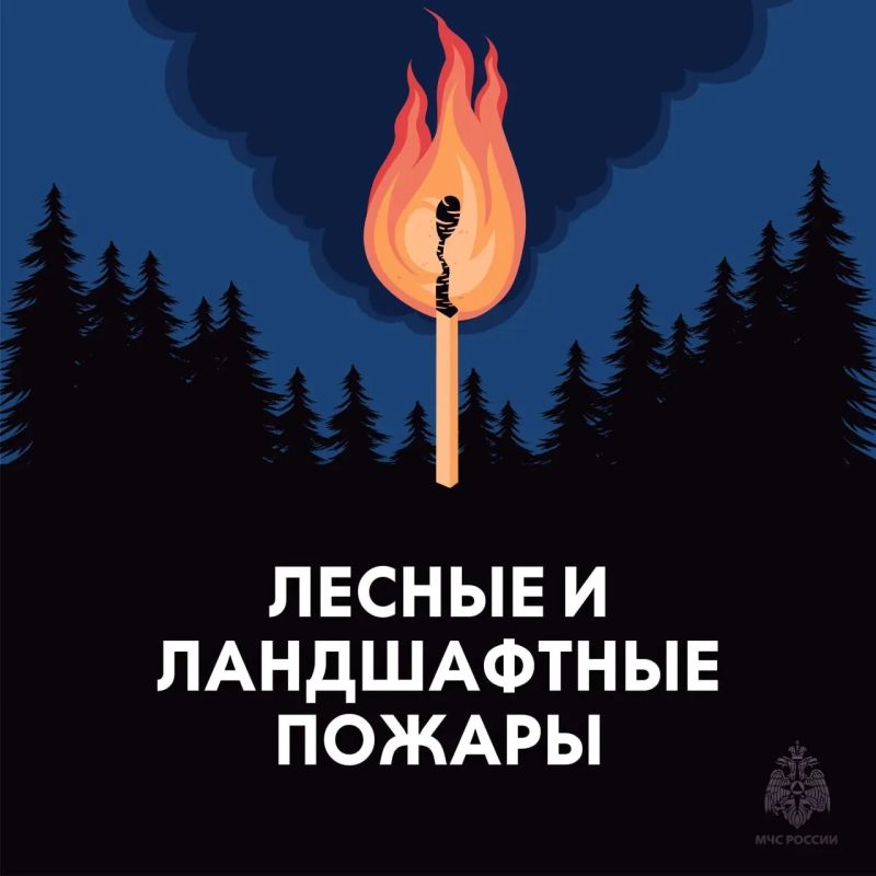 МЧС России напоминает: не сжигай сухую траву