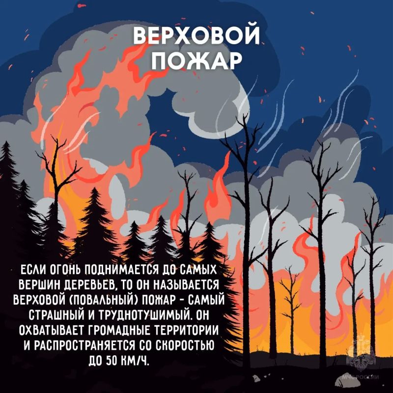 МЧС России напоминает: не сжигай сухую траву МЧС России напоминает: не сжигай сухую траву