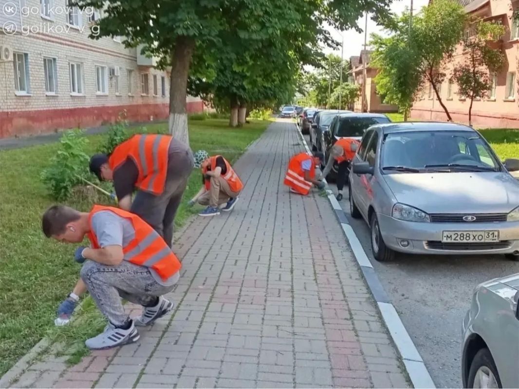 Лето для губкинских подростков — это не только отдых, но и время первой работы Лето для губкинских подростков — это не только отдых, но и время первой работы