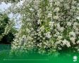 23 июня. Температура воздуха 27°C, переменная облачность, кратковременные дожди