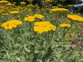 � ����� ������ �������� ������ � ���������������