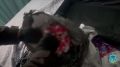В Белгородской области ликвидирован использовавшийся зарубежными аферистами канал связи