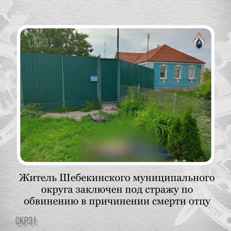 Житель Шебекинского муниципального округа заключен под стражу по обвинению в причинении смерти отцу