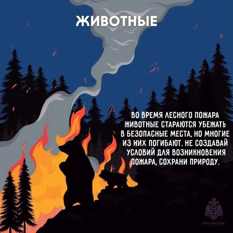 МЧС России напоминает: не сжигайте сухую траву! МЧС России напоминает: не сжигайте сухую траву!
