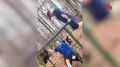 В День ветеранов боевых действий мы вновь благодарим тех, кто с риском для жизни и здоровья защищал нас в различных военных конфликтах