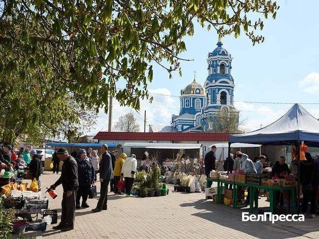 Аромат на всю округу. Переезд в волоконовское село сподвиг Ирину Баранову купить коптильню Аромат на всю округу. Переезд в волоконовское село сподвиг Ирину Баранову купить коптильню