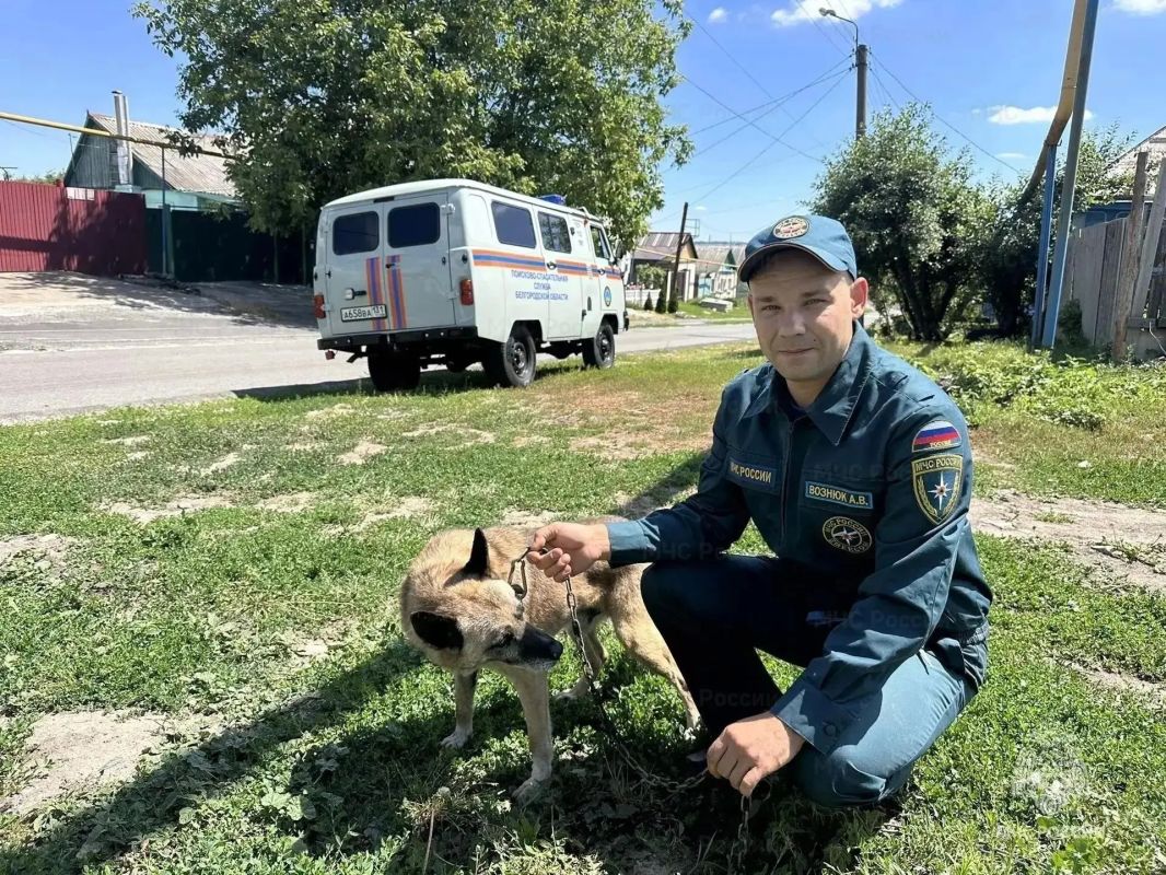 Сотрудники МЧС вытащили пушистика из двухметрового колодца в Короче Сотрудники МЧС вытащили пушистика из двухметрового колодца в Короче