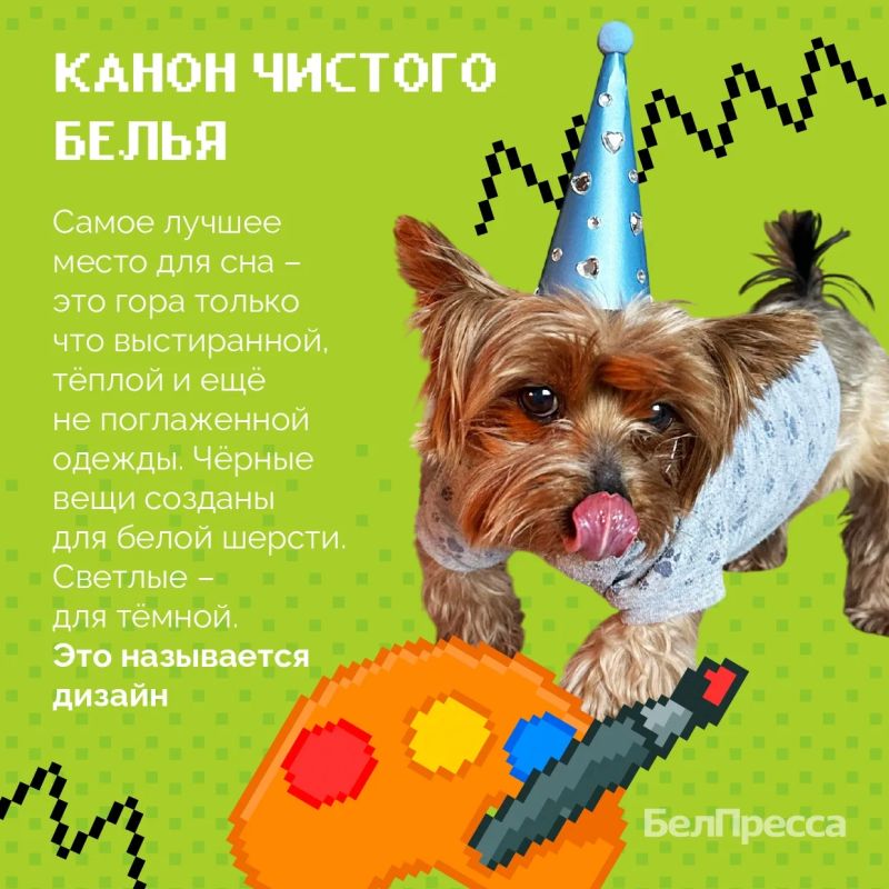 О чём молчат собаки? Сенсационный перехват данных О чём молчат собаки? Сенсационный перехват данных