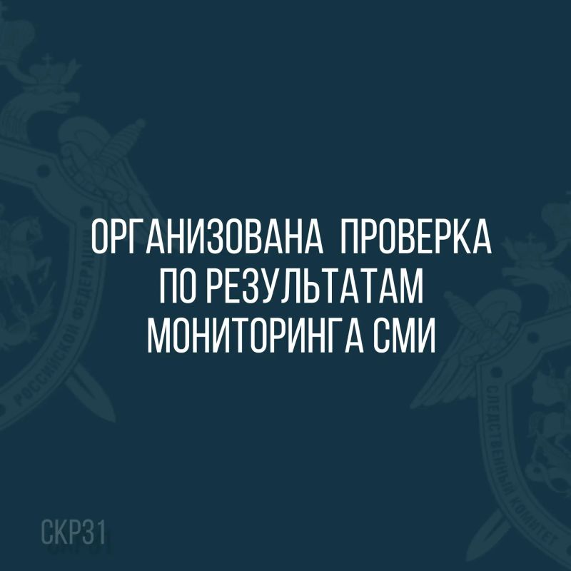 В Белгородской области следователями СК организована проверка по сообщению о наезде несовершеннолетнего на электросамокате на женщину