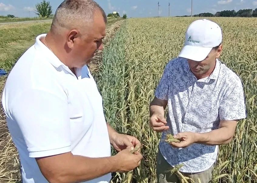 Андрей Миськов: В Новооскольском округе всё готово к старту уборочной кампании Андрей Миськов: В Новооскольском округе всё готово к старту уборочной кампании