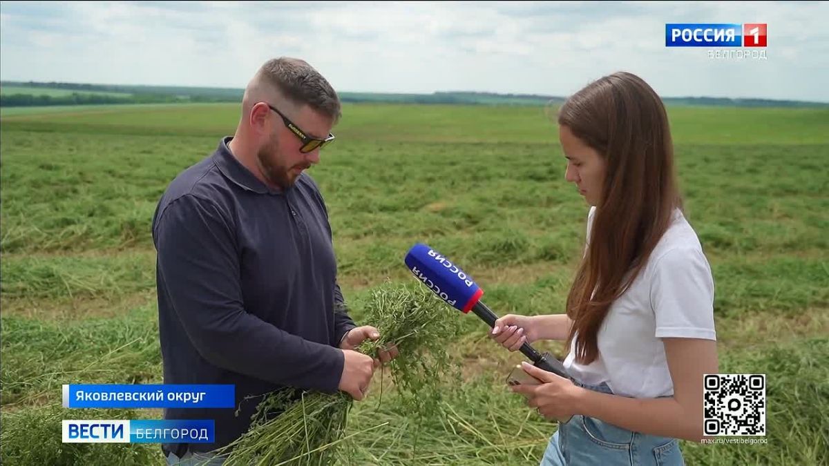 В Яковлевском округе началась уборочная кампания
