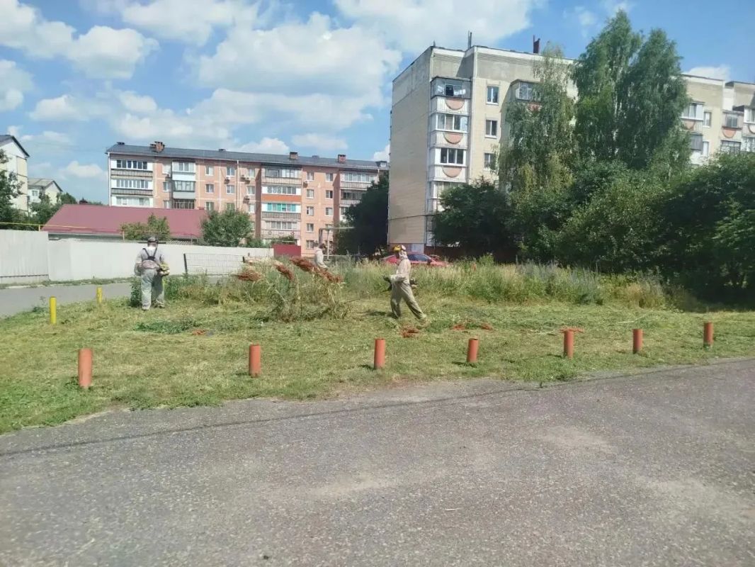 Татьяна Круглякова: На территории Белгородского муниципального округа продолжаются работы по наведению санитарного порядка Татьяна Круглякова: На территории Белгородского муниципального округа продолжаются работы по наведению санитарного порядка
