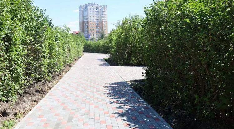 Благоустройство сквера «Дубки» в Старом Осколе завершат к августу