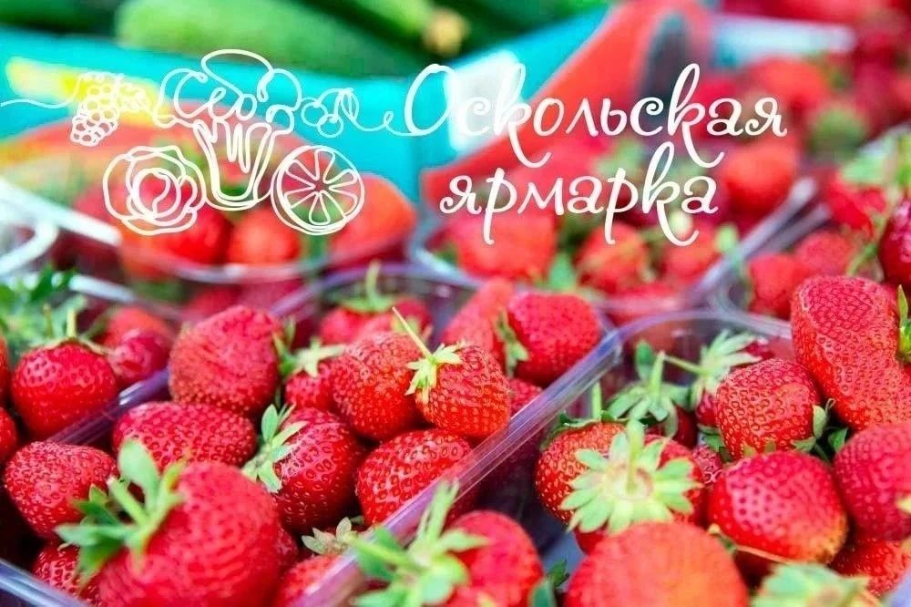 Фермерская ярмарка в Старом Осколе!