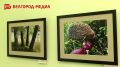 «Это даже какое-то лекарство от городской суеты