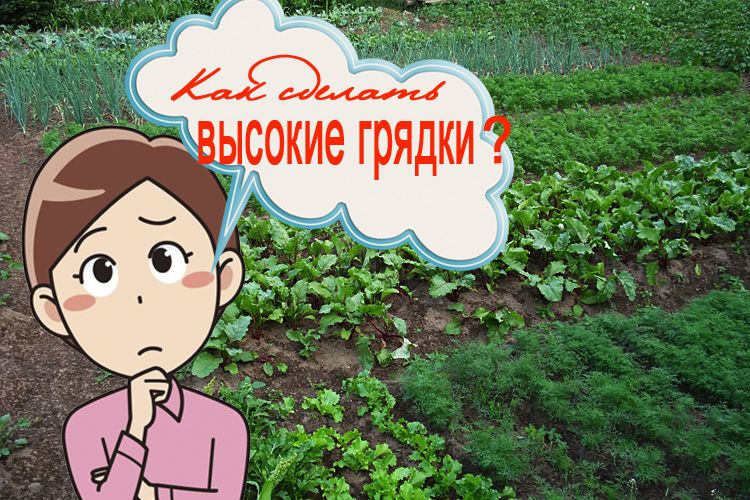 Огромные возможности компактного дачного огорода: идеи для вдохновения