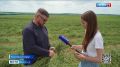 Олег Медведев: В Яковлевском округе аграрии приступили к уборке люцерны на сенаж