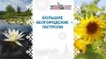 В рамках Больших Белгородских гастролей народный самодеятельный коллектив ансамбль русской песни «Раздолье» и солисты Белоколодезского центра Культурного развития выступили с ярким концертом в Лознянском сельском Доме...