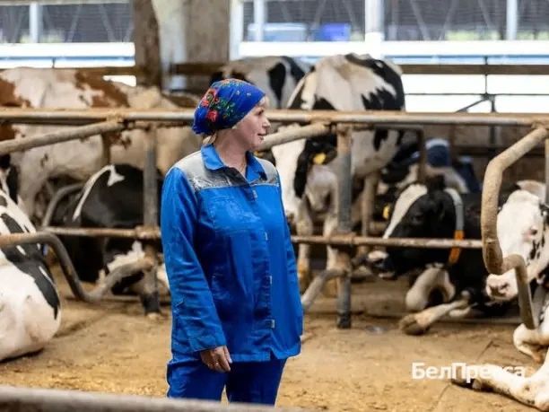«В 2019 году стала победителем областного конкурса на звание лучшего по профессии среди операторов машинного доения