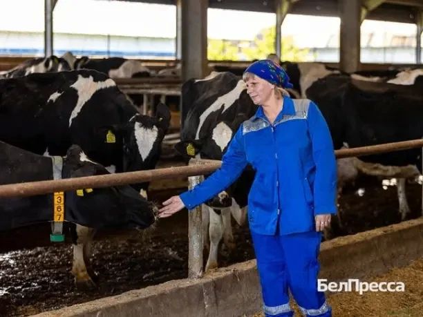 «В 2019 году стала победителем областного конкурса на звание лучшего по профессии среди операторов машинного доения «В 2019 году стала победителем областного конкурса на звание лучшего по профессии среди операторов машинного доения