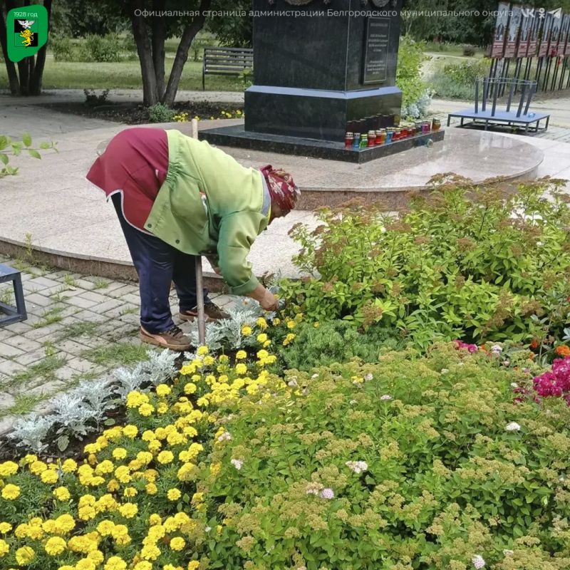 В Белгородском округе продолжается благоустройство территорий В Белгородском округе продолжается благоустройство территорий