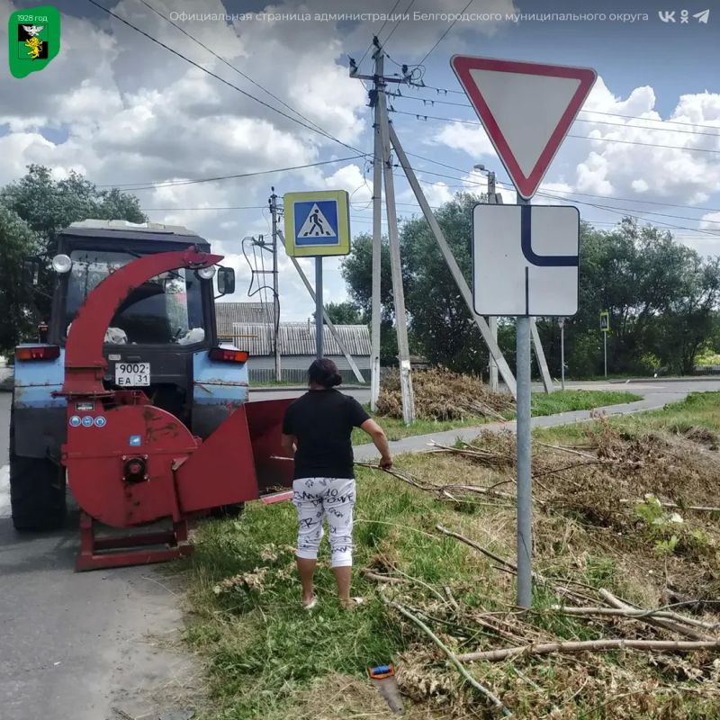 В Белгородском округе продолжается благоустройство территорий В Белгородском округе продолжается благоустройство территорий