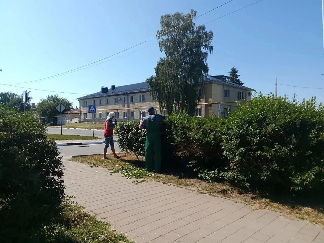 Чистота и уют — результат ежедневного труда Чистота и уют — результат ежедневного труда